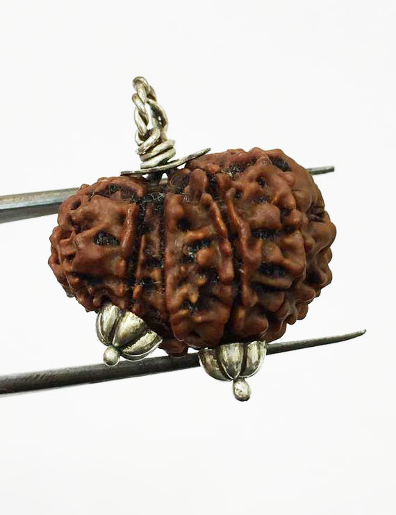 Garbh Gauri Rudraksha Silver Pendant (Nepal Origin)